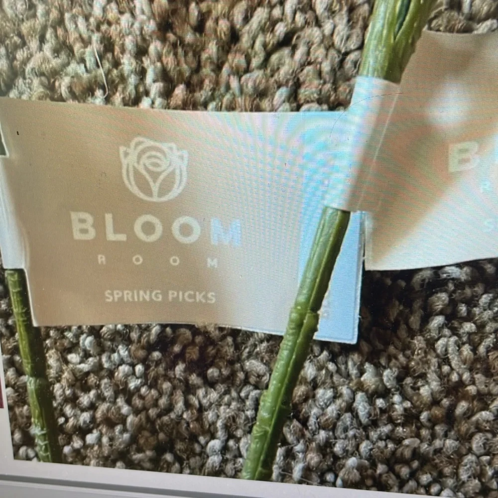 Bloom Room new brand